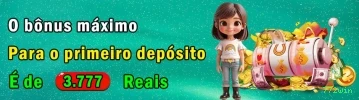 Imagem promocional do programa VIP da 772win